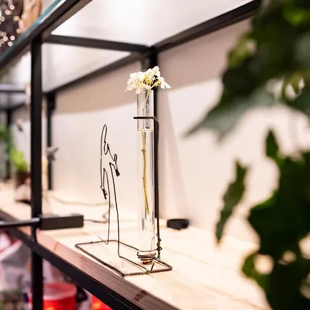 De La Frühstückspension 3*